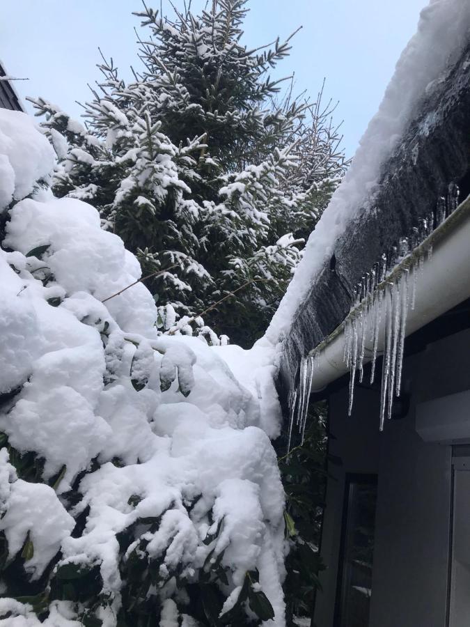 Schoenwald Waldchalet Am Musenberg Stryck Eksteriør bilde
