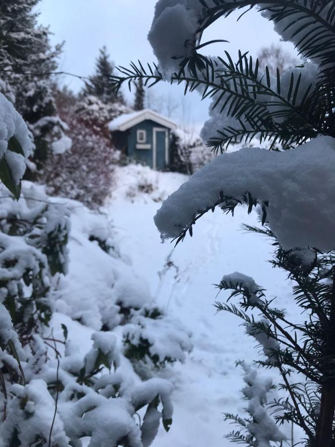 Schoenwald Waldchalet Am Musenberg Stryck Eksteriør bilde