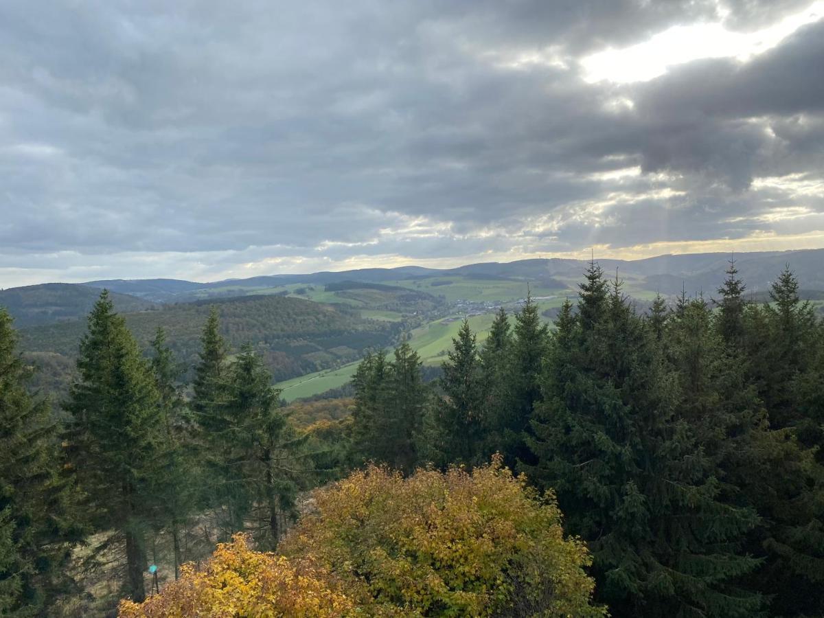 Schoenwald Waldchalet Am Musenberg Stryck Eksteriør bilde